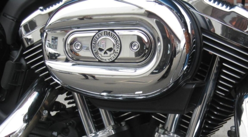 Embellecedor del filtro de aire H-D Willie G. Skull