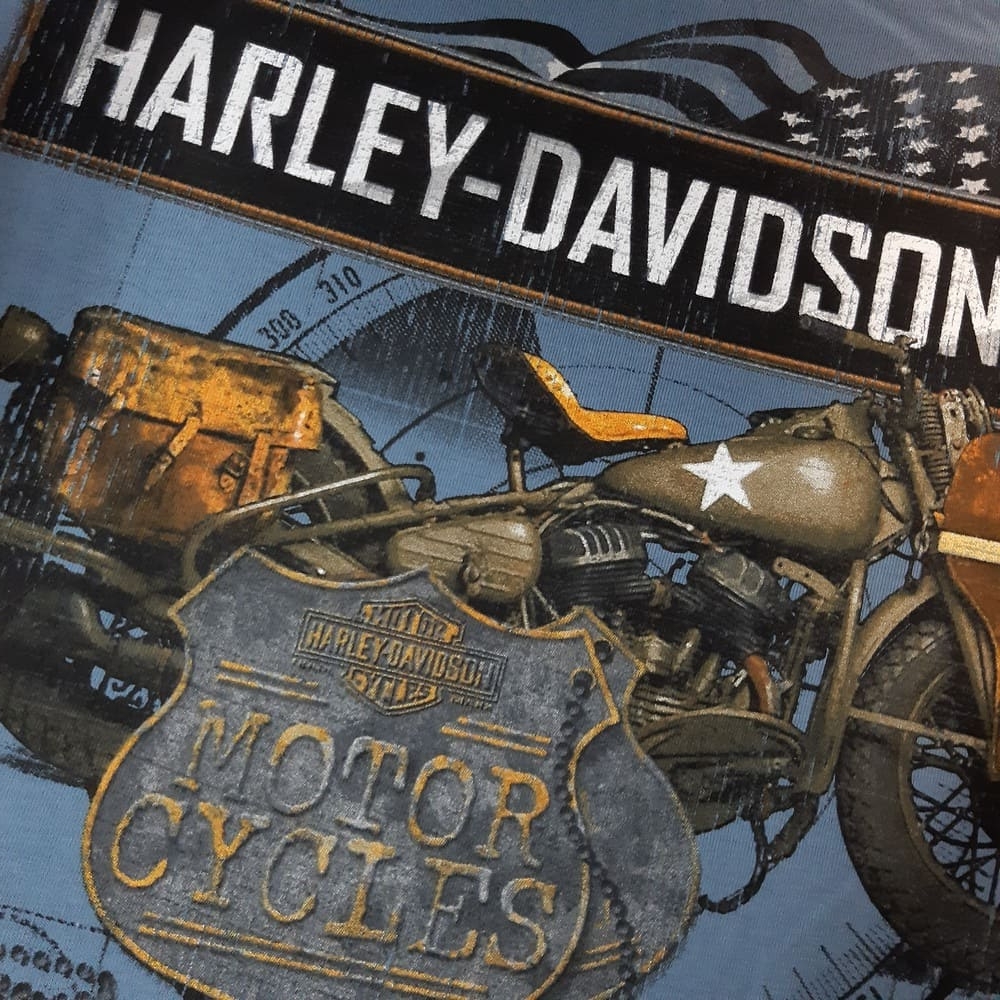 Camiseta Hombre Concesionario Cantabria Harley-Davidson® Men Fortitude -  Azul R004446