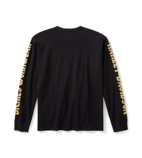 Camiseta Hombre Dickies x Harley-Davidson® Men Dickies x H-D Heavyweight Long Sleeve Eagle Tee - Antracita - Imagen 2